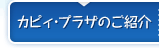 カピィ・プラザのご紹介